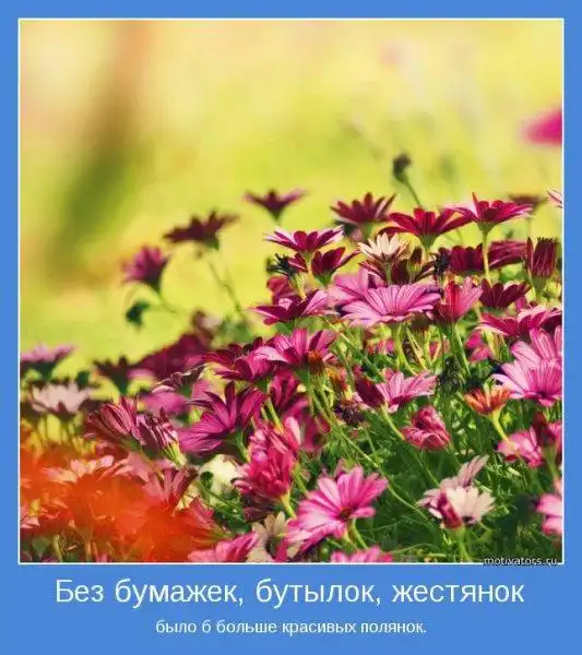Мотиваторы
