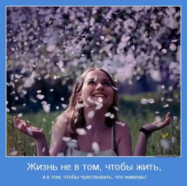 Мотиваторы