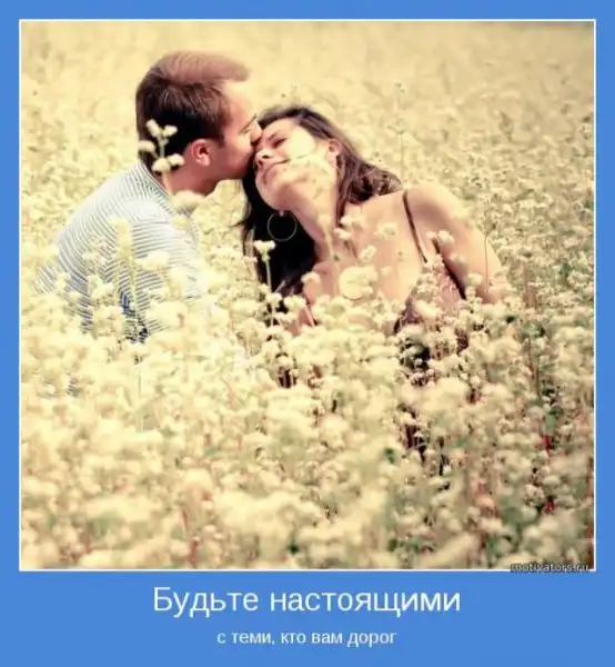 Мотиваторы