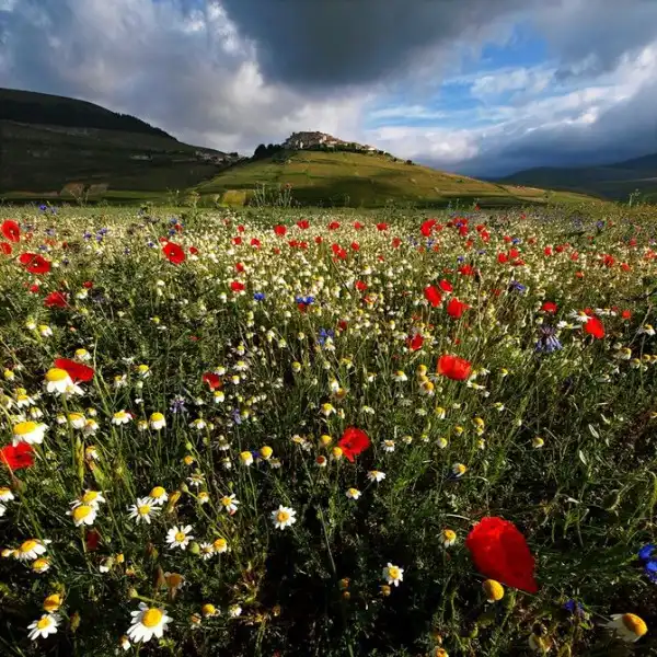 Живописная Тоскана от фотографа Edmondo Senatore