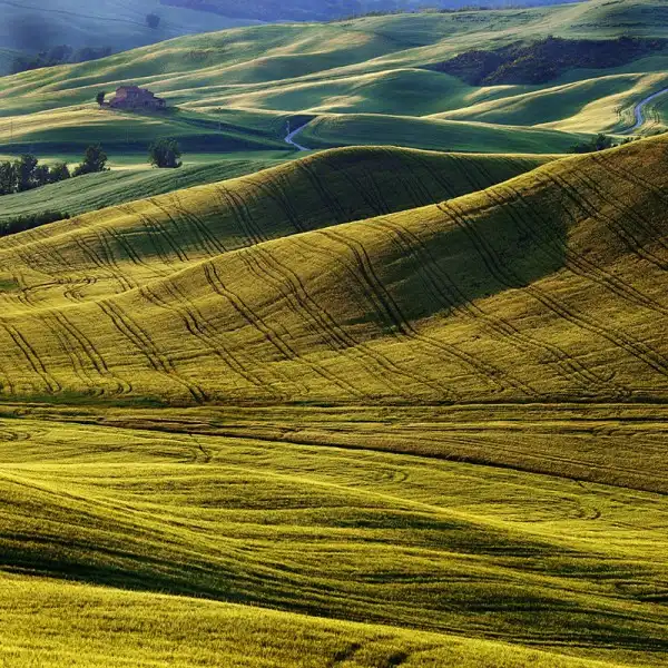 Живописная Тоскана от фотографа Edmondo Senatore