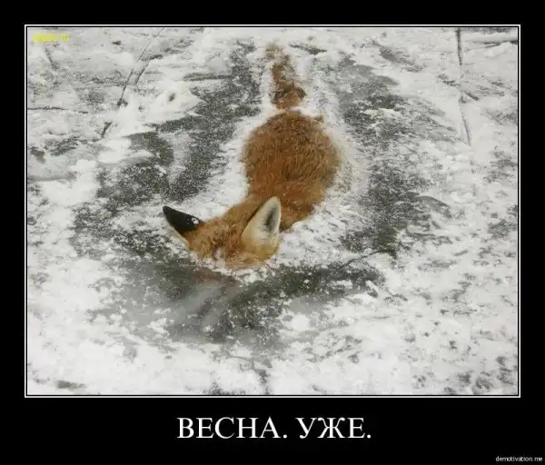 Таких демотиваторов вы еще не видели