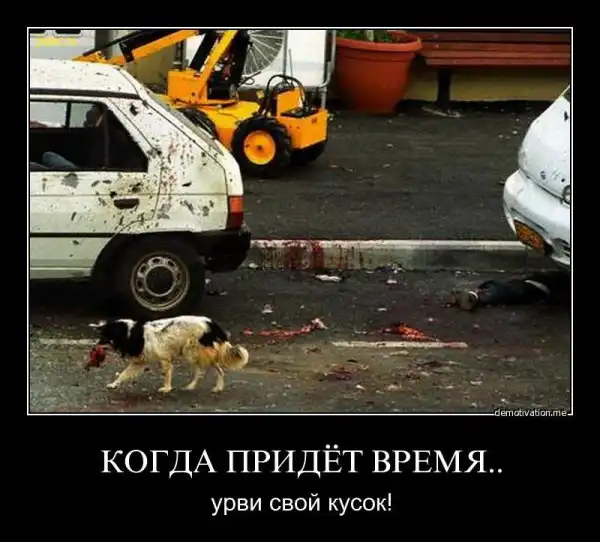 Таких демотиваторов вы еще не видели