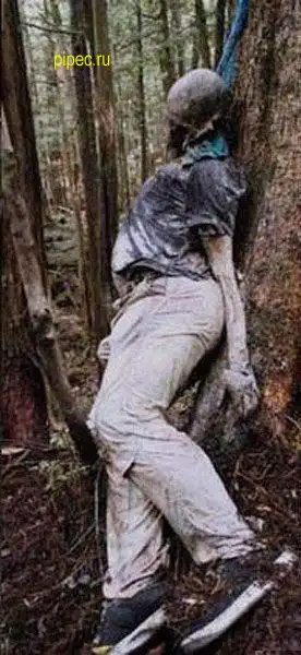 Мега жесть