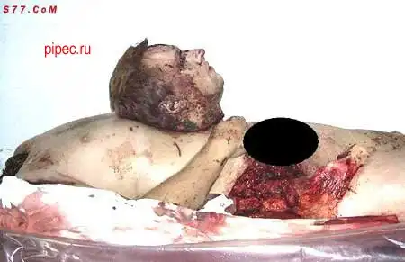 Мега жесть