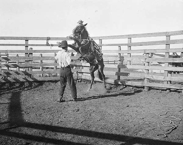 Wild, wild west.