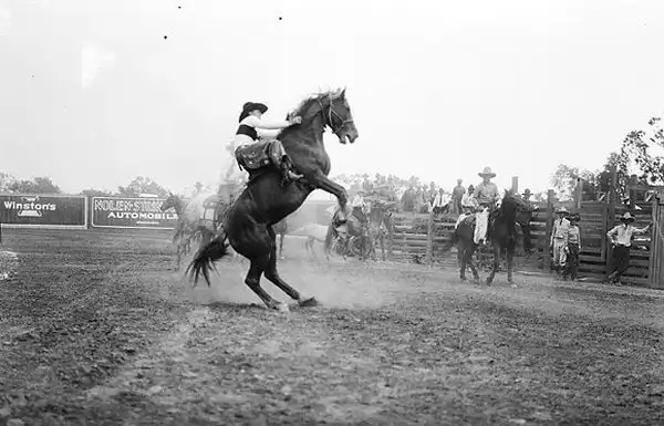Wild, wild west.