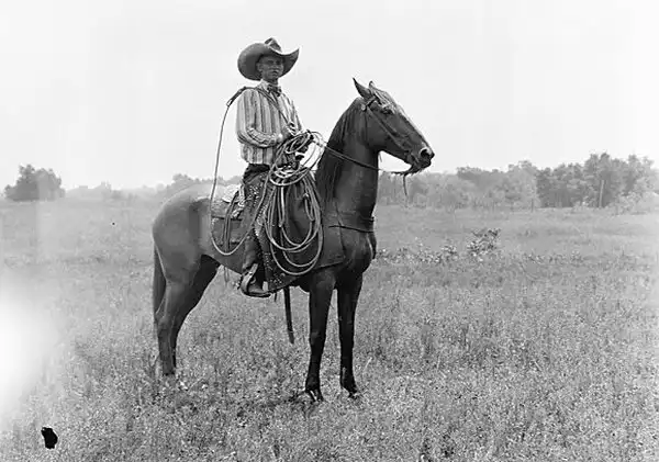 Wild, wild west.