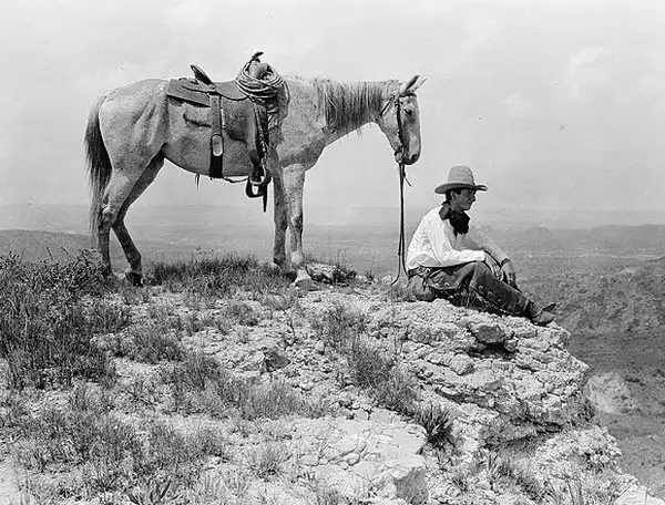 Wild, wild west.