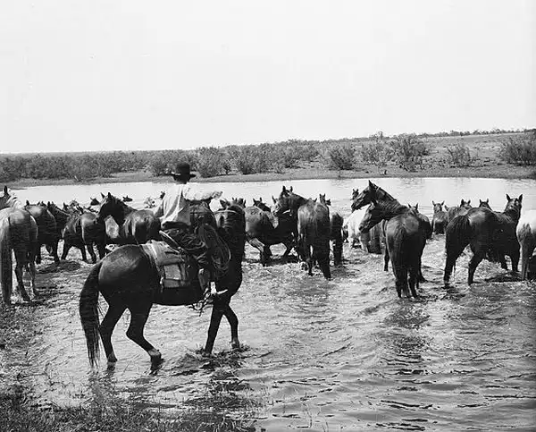 Wild, wild west.