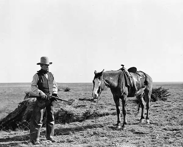 Wild, wild west.