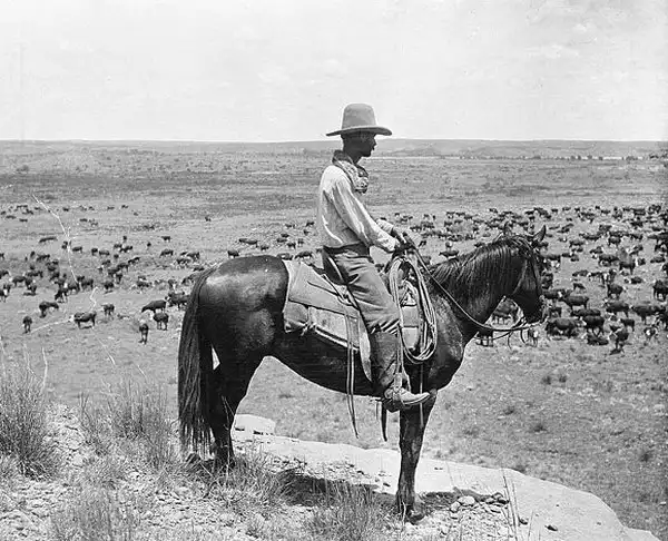 Wild, wild west.