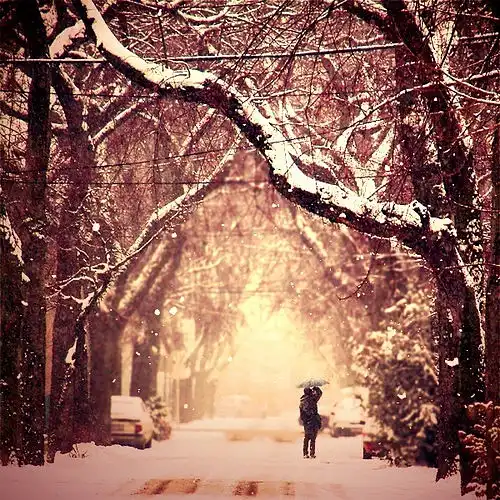Winter