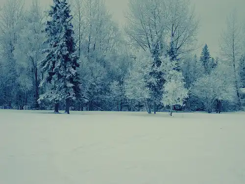 Winter