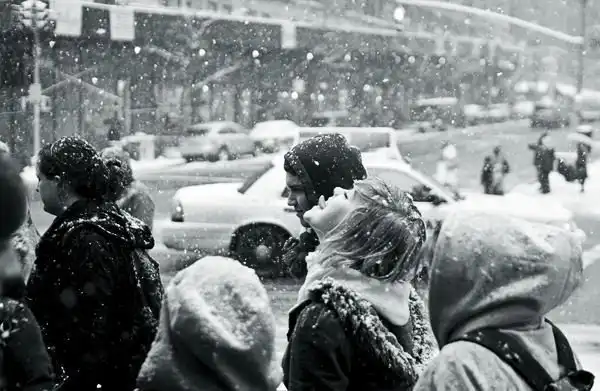 Winter