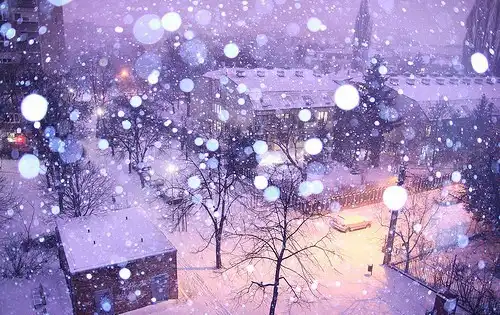 Winter
