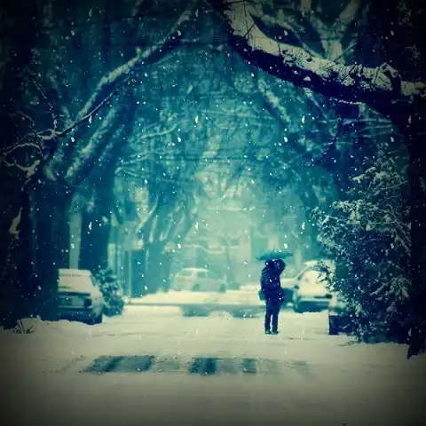 Winter