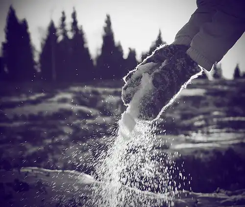 Winter