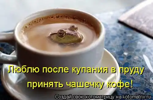 Kotomatrix