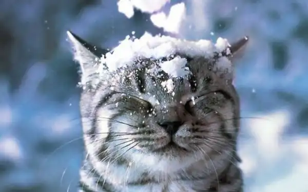 Winter
