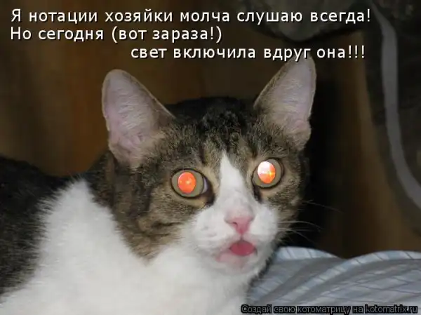 Kotomatrix