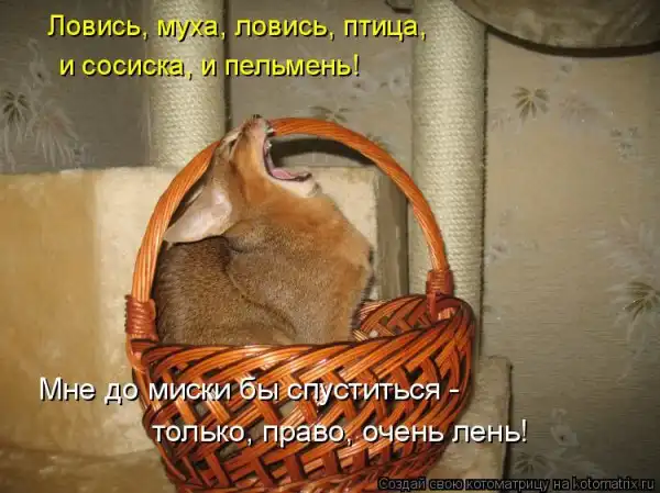 Kotomatrix