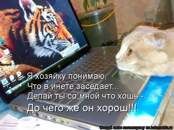 Kotomatrix