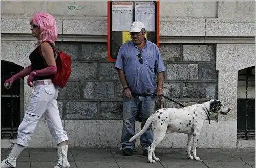 #2 Заряд позитива в фото приколах