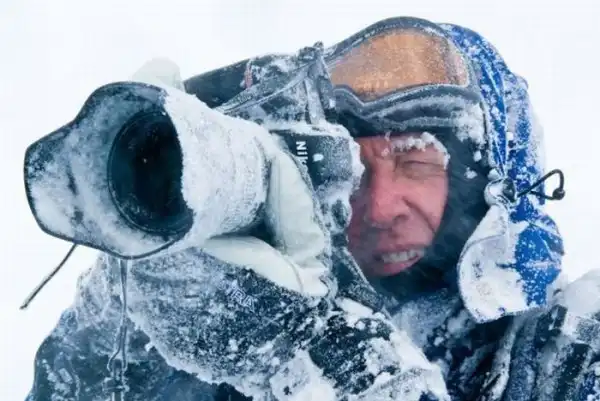 Подборка смешных, не очень и просто красивых фотографий