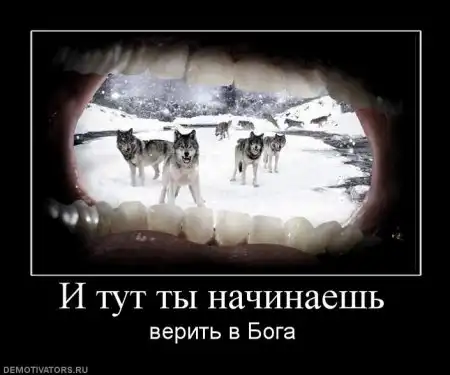 Картинки в черной рамке...