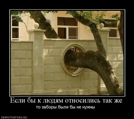 Картинки в черной рамке...