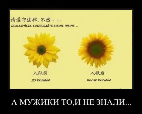 Демотиваторы про это (часть 3)