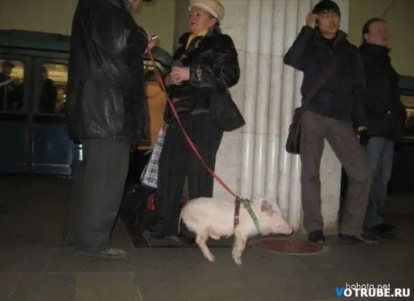 Чудаки в метро