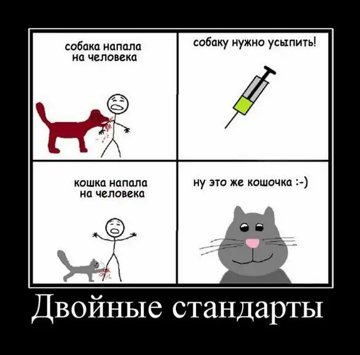Демотиваторы Демотиваторы