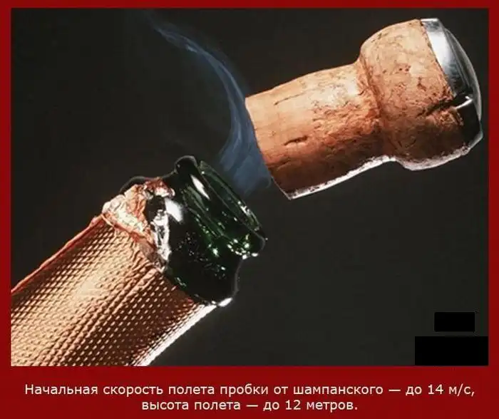 Факты о скорости Факты о скорости