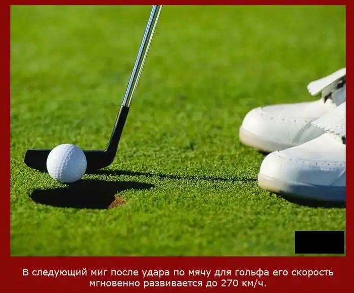 Факты о скорости Факты о скорости