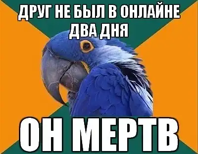 что хранят пользователи контакта у себя в альбомах
