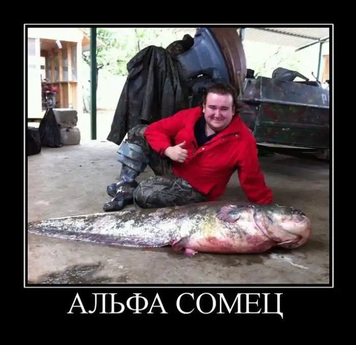 Демотиваторы Демотиваторы