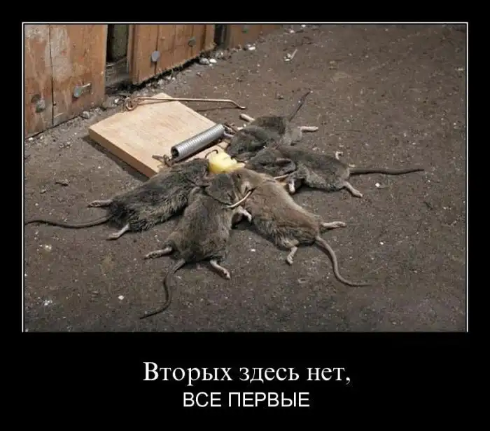 Демотиваторы Демотиваторы