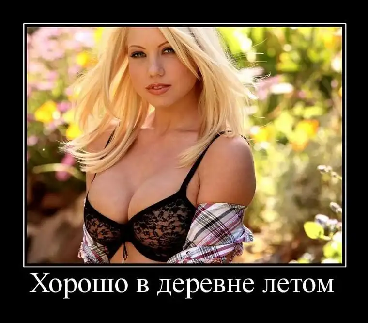 Демотиваторы Демотиваторы