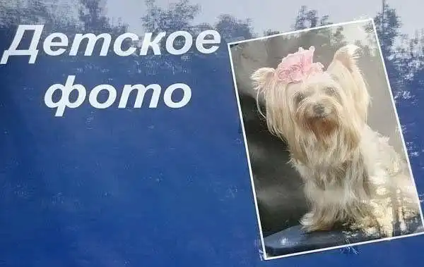 Маразмы и прикольные надписи Маразмы и прикольные надписи