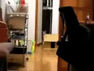 Фильм ужасов с котэ Фильм ужасов с котэ