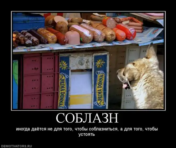 Демотиваторы...