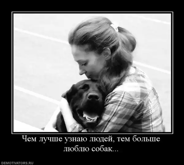 Демотиваторы...