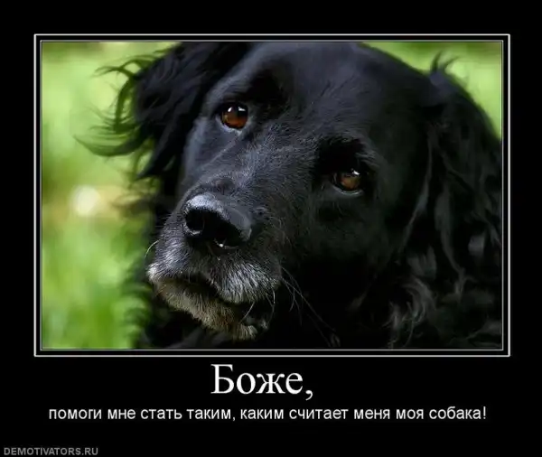 Демотиваторы...