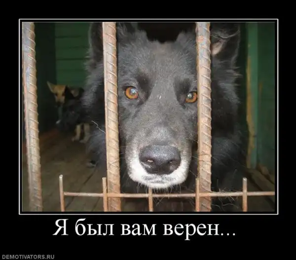 Демотиваторы...