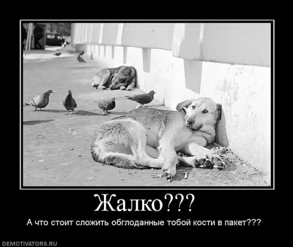 Демотиваторы...