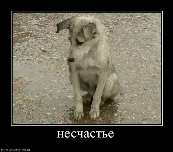 Демотиваторы...