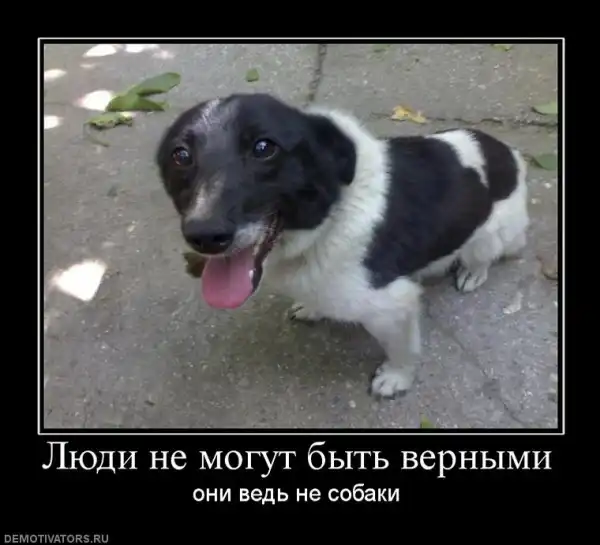 Демотиваторы...
