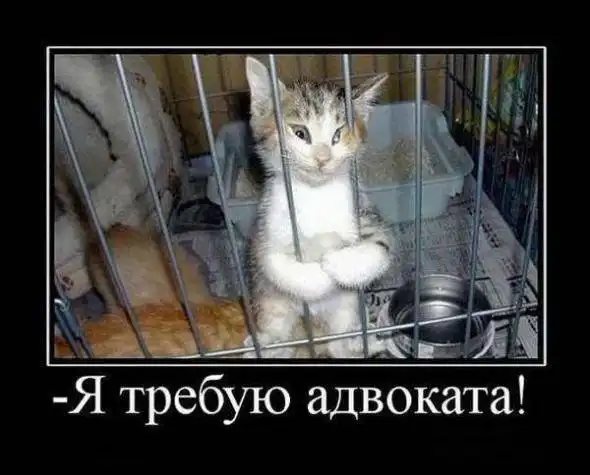 Классные демотиваторы